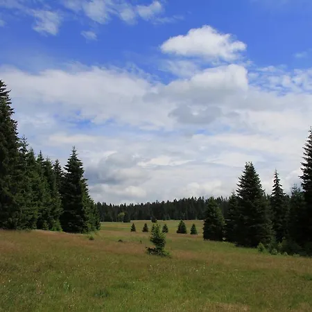 Penzion Modrý 3*