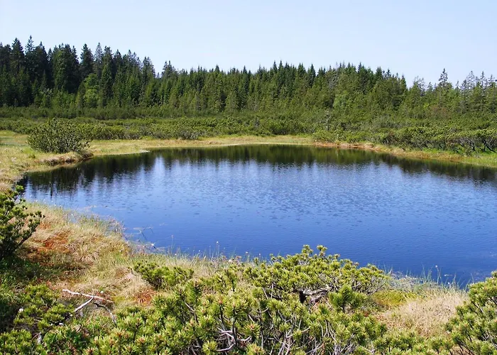 Modry Гостевой дом