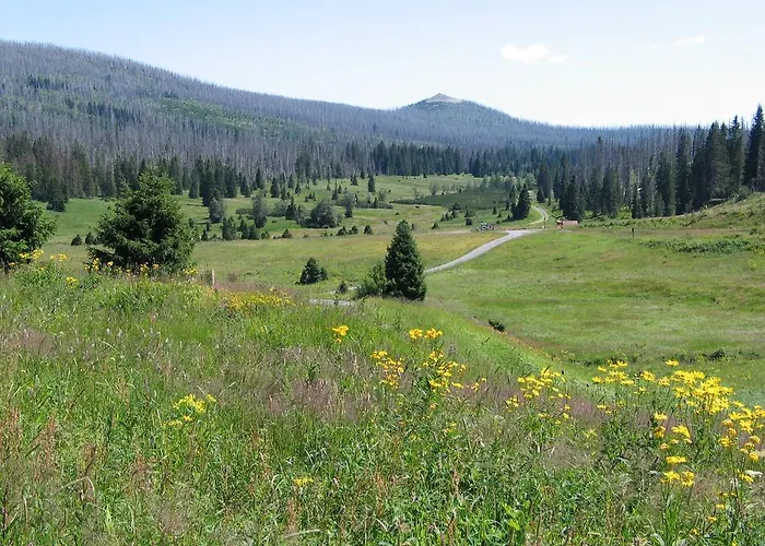 Гостевой дом Modry Модрава