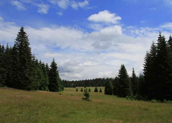 Vendégház Modry 3*