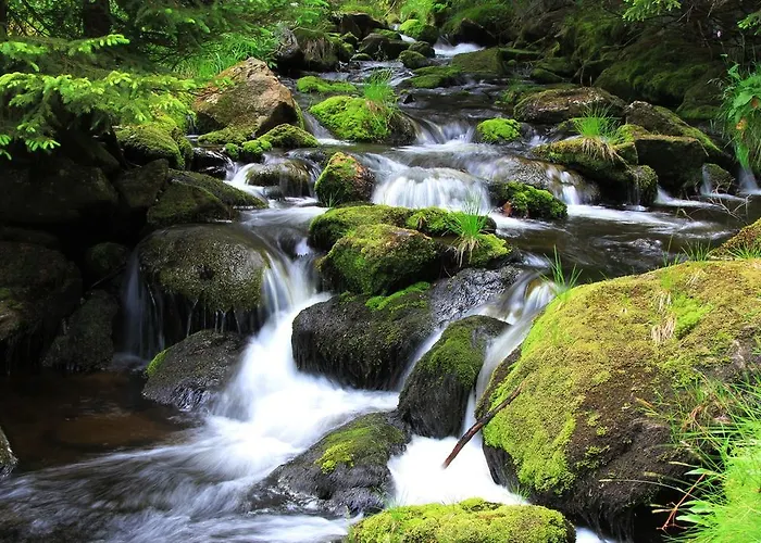 Гостевой дом Modry