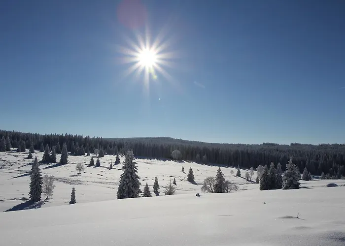 Гостевой дом Modry